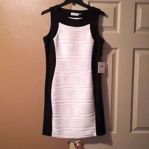 Calvin Klein Dress size 10P